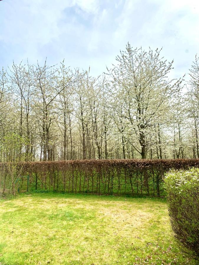 Havre De Paix Aux Portes Des Ardennes Nassogne ภายนอก รูปภาพ